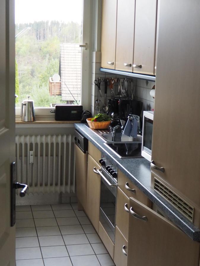 Ferienwohnung Am Kunstberg 29 Altenau  Buitenkant foto
