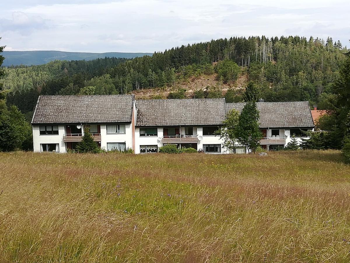 Ferienwohnung Am Kunstberg 29 Altenau  Buitenkant foto