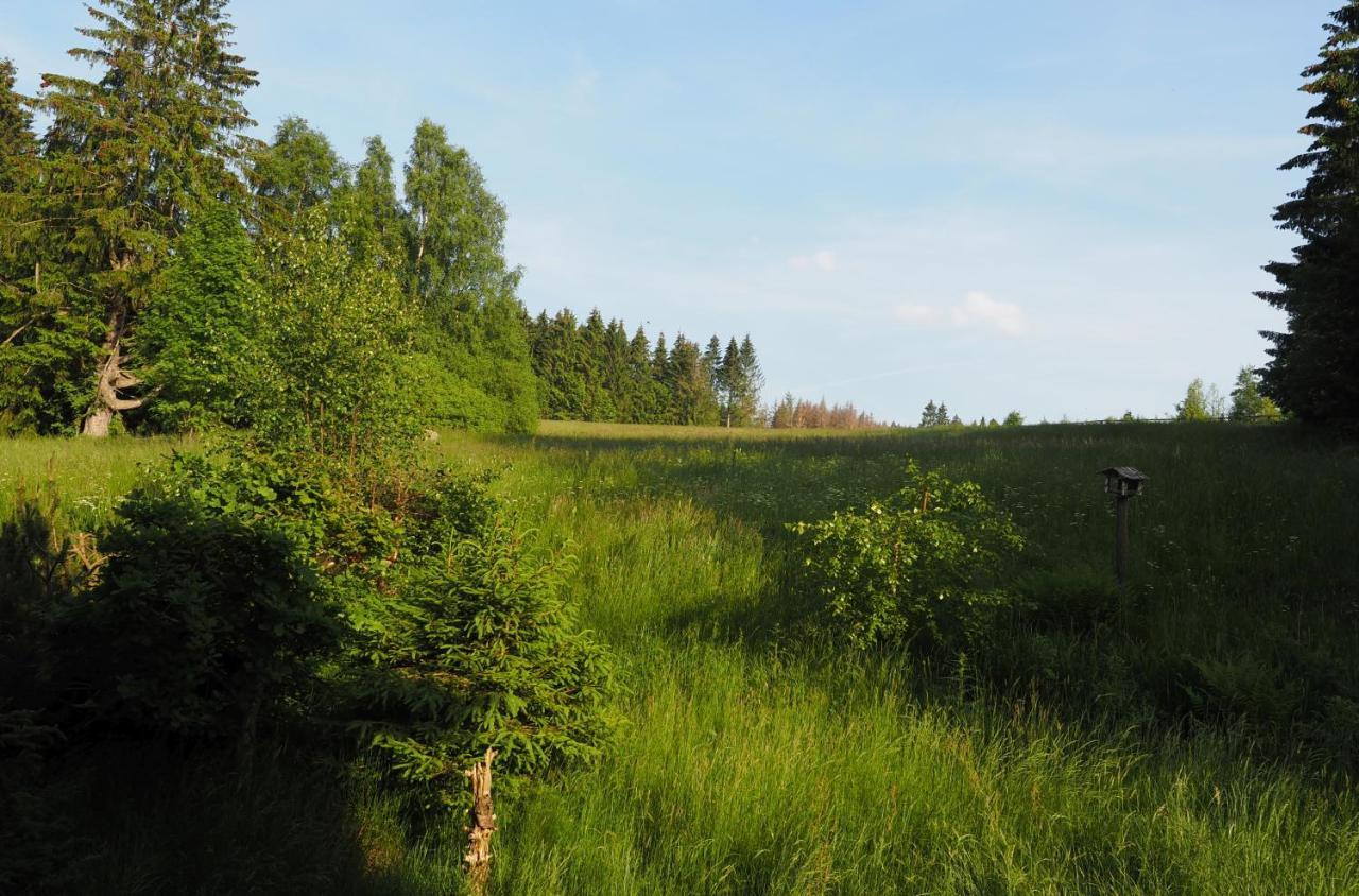Ferienwohnung Am Kunstberg 29 Altenau  Buitenkant foto